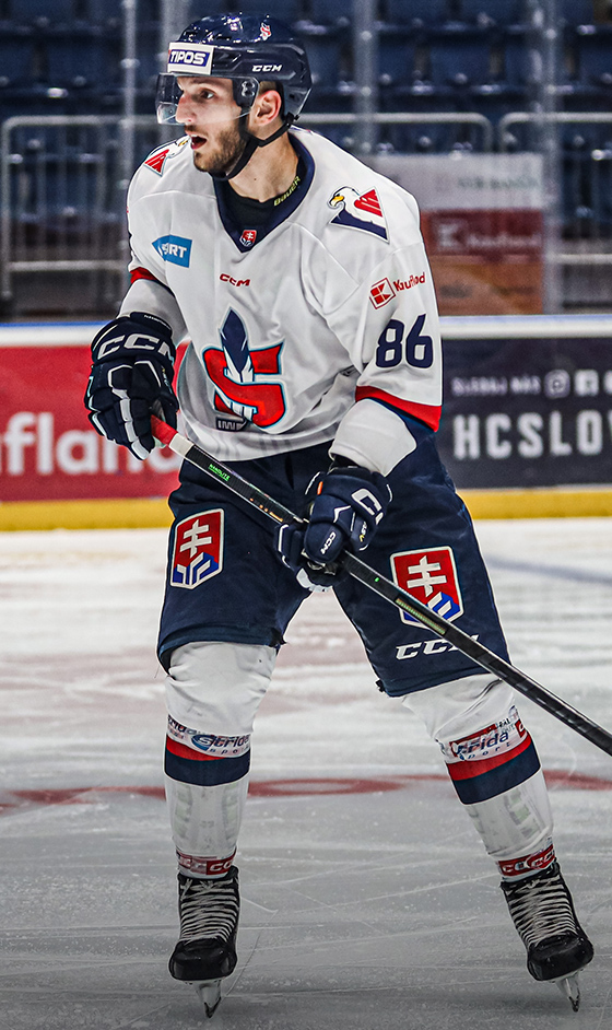 MATOUŠEK, Michal