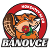 HK Spartak Bánovce