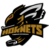 Trnava Hornets Academy